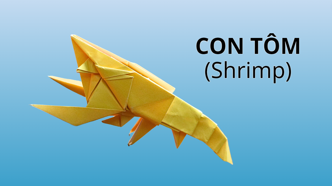 Video 50: Mẫu gấp Con tôm - The Art of Paper Folding: Shrimp